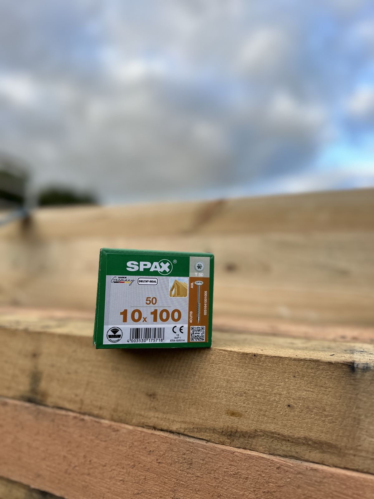 SPAXPACI 10 X 100 DELTA-SEAL W/H 50