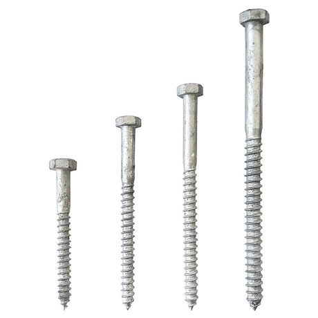 COACH SCREWS