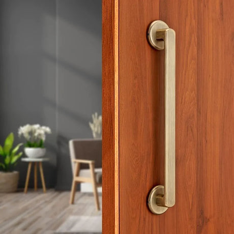 DOOR HANDLES