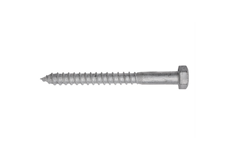 COACH SCREW GAL 12 X 100 - LOOSE