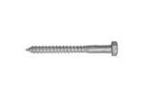 COACH SCREW GAL 10 X 100 - LOOSE